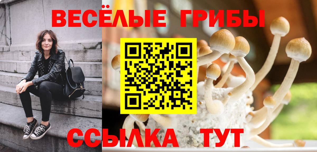 Галлюциногенные грибы MAGIC MUSHROOMS  Вход с VPN  Жигулёвск  Галлюциногенные грибы мухоморы 
